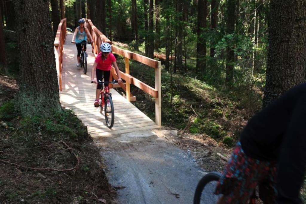Apartman S Terasou A Vyhledem Na Jezero Lipno Kovarov Экстерьер фото