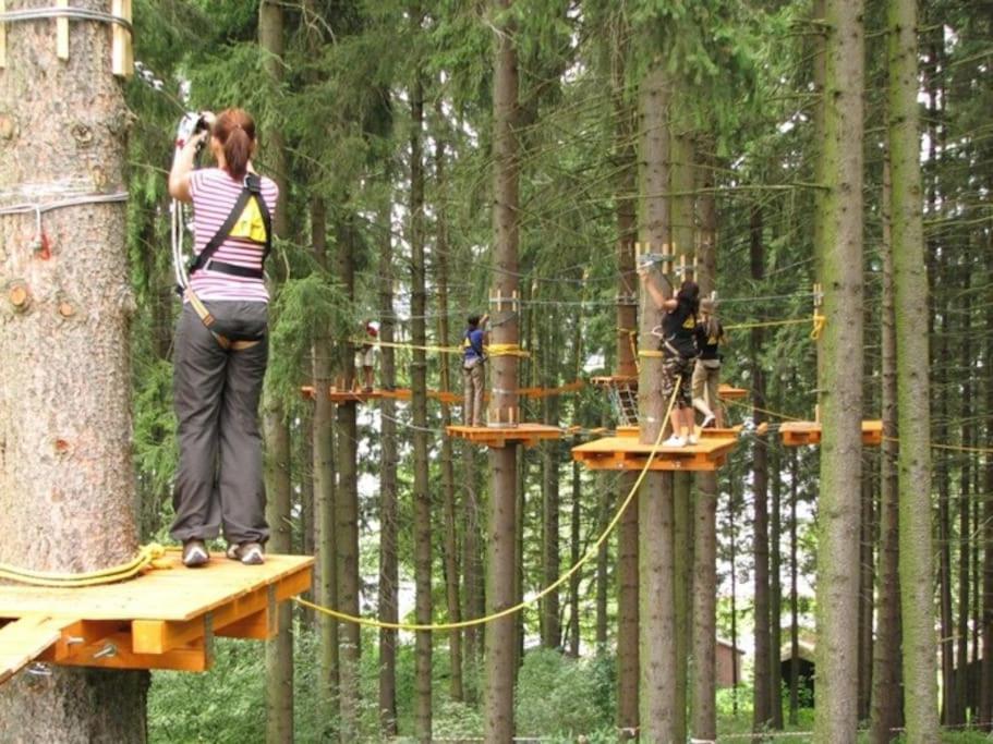 Apartman S Terasou A Vyhledem Na Jezero Lipno Kovarov Экстерьер фото
