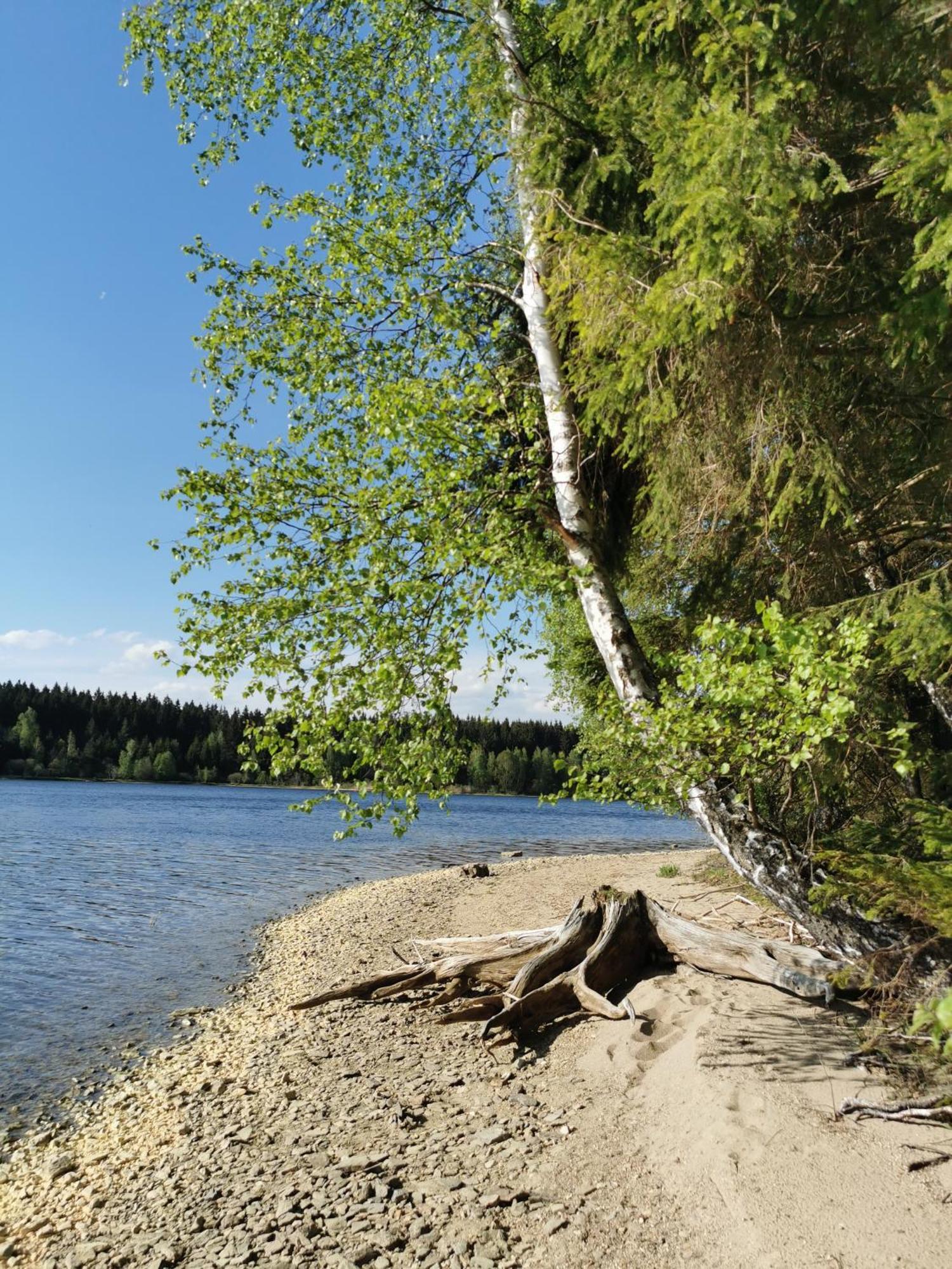 Apartman S Terasou A Vyhledem Na Jezero Lipno Kovarov Экстерьер фото